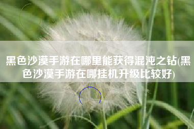 黑色沙漠手游在哪里能获得混沌之钻(黑色沙漠手游在哪挂机升级比较好)