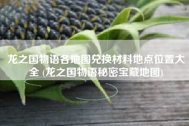 龙之国物语各地图兑换材料地点位置大全 (龙之国物语秘密宝藏地图)