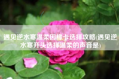 遇见逆水寒温柔因缘卡选择攻略(遇见逆水寒开头选择温柔的声音是)