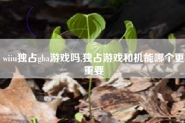 wiiu独占gba游戏吗,独占游戏和机能哪个更重要