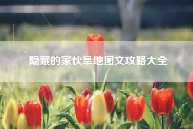 隐藏的家伙旱地图文攻略大全