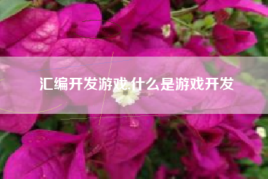 汇编开发游戏,什么是游戏开发