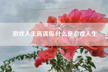 游戏人生高清版,什么是游戏人生