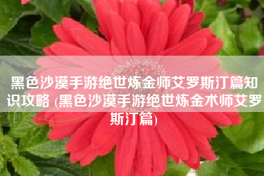 黑色沙漠手游绝世炼金师艾罗斯汀篇知识攻略 (黑色沙漠手游绝世炼金术师艾罗斯汀篇)