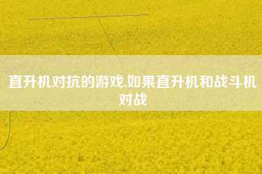 直升机对抗的游戏,如果直升机和战斗机对战