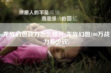 龙族幻想战力怎么提升(龙族幻想100万战力多少钱)