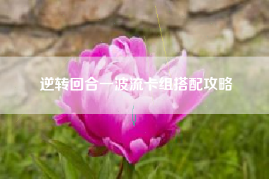 逆转回合一波流卡组搭配攻略