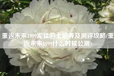 重返未来1999泥猛的士培养及测评攻略(重返未来1999什么时候公测)