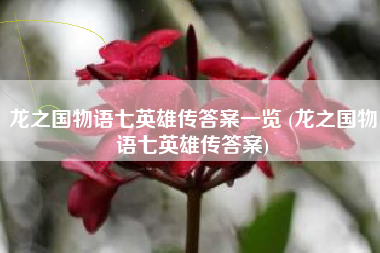 龙之国物语七英雄传答案一览 (龙之国物语七英雄传答案)