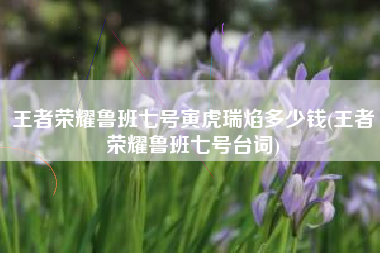 王者荣耀鲁班七号寅虎瑞焰多少钱(王者荣耀鲁班七号台词)