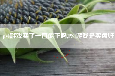 ps4游戏买了一直能下吗,PS4游戏是买盘好