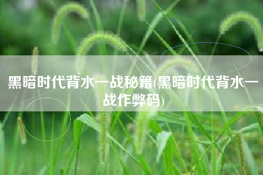 黑暗时代背水一战秘籍(黑暗时代背水一战作弊码)