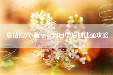 魔法洞穴2新手一周目中后期速通攻略