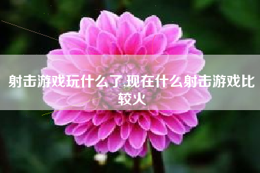 射击游戏玩什么了,现在什么射击游戏比较火