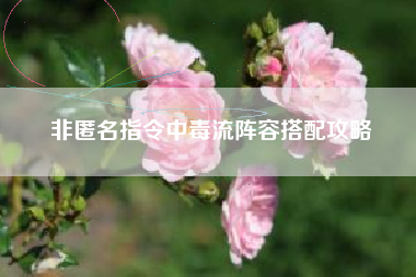 非匿名指令中毒流阵容搭配攻略