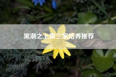 黑潮之上御三家培养推荐