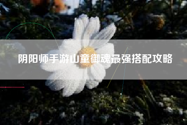 阴阳师手游山童御魂最强搭配攻略