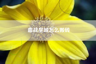 血战皇城怎么搬砖