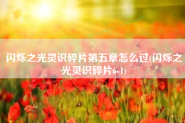 闪烁之光灵识碎片第五章怎么过(闪烁之光灵识碎片6-1)