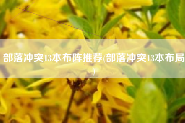部落冲突13本布阵推荐(部落冲突13本布局)