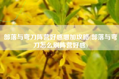 部落与弯刀阵营好感增加攻略(部落与弯刀怎么刷阵营好感)