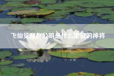 飞仙觉醒赵公明是什么定位的神将