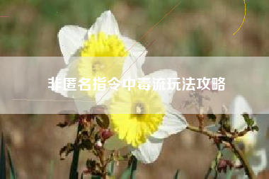 非匿名指令中毒流玩法攻略