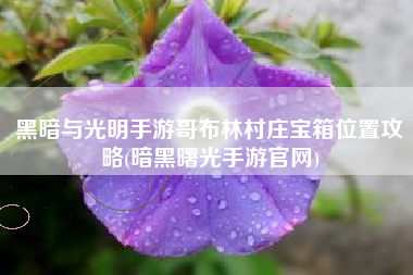 黑暗与光明手游哥布林村庄宝箱位置攻略(暗黑曙光手游官网)