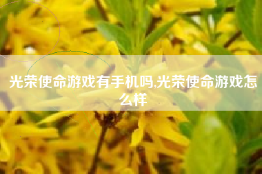 光荣使命游戏有手机吗,光荣使命游戏怎么样
