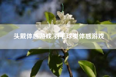 头戴体感游戏,羽毛球类体感游戏