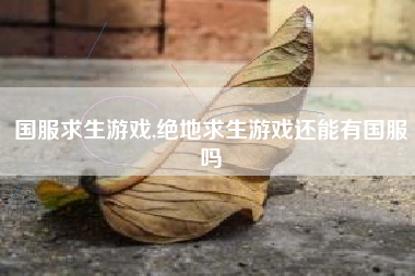 国服求生游戏,绝地求生游戏还能有国服吗