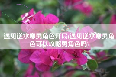 遇见逆水寒男角色开局(遇见逆水寒男角色可以攻略男角色吗)