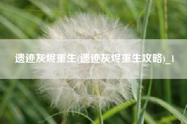 遗迹灰烬重生(遗迹灰烬重生攻略)_1