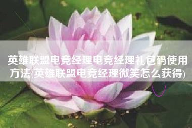 英雄联盟电竞经理电竞经理礼包码使用方法(英雄联盟电竞经理微笑怎么获得)