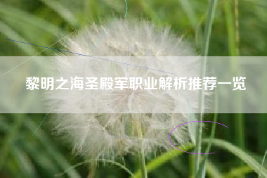 黎明之海圣殿军职业解析推荐一览