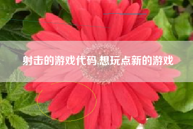 射击的游戏代码,想玩点新的游戏