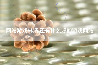 网站游戏林清,还有什么好的游戏网站