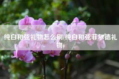 纯白和弦礼物怎么刷(纯白和弦菲尔德礼物)