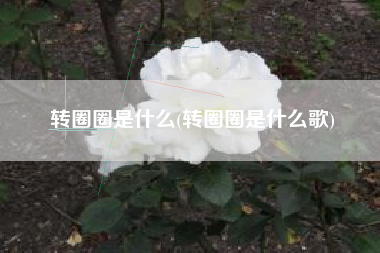 转圈圈是什么(转圈圈是什么歌)