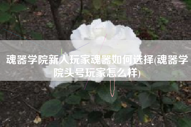 魂器学院新人玩家魂器如何选择(魂器学院头号玩家怎么样)