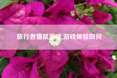旅行者猫鼠游戏,游戏体验如何