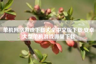 单机网络游戏下载大全中文版下载,安卓大型单机游戏哪里下载