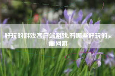 好玩的游戏客户端游戏,有哪些好玩的pc端网游
