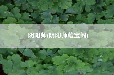 阴阳师(阴阳师藏宝阁)