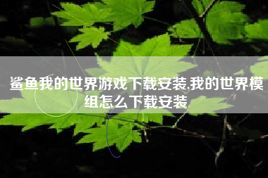 鲨鱼我的世界游戏下载安装,我的世界模组怎么下载安装