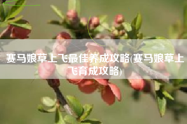 赛马娘草上飞最佳养成攻略(赛马娘草上飞育成攻略)