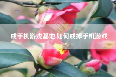 戒手机游戏基地,如何戒掉手机游戏