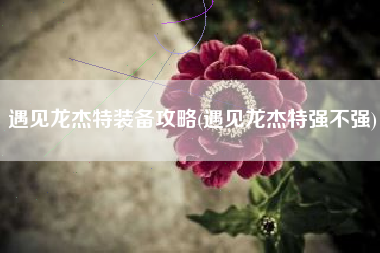 遇见龙杰特装备攻略(遇见龙杰特强不强)