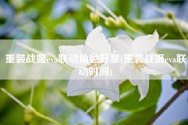 重装战姬eva联动角色升星(重装战姬eva联动时间)