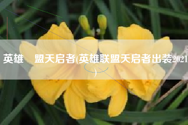 英雄聯盟天启者(英雄联盟天启者出装2021)